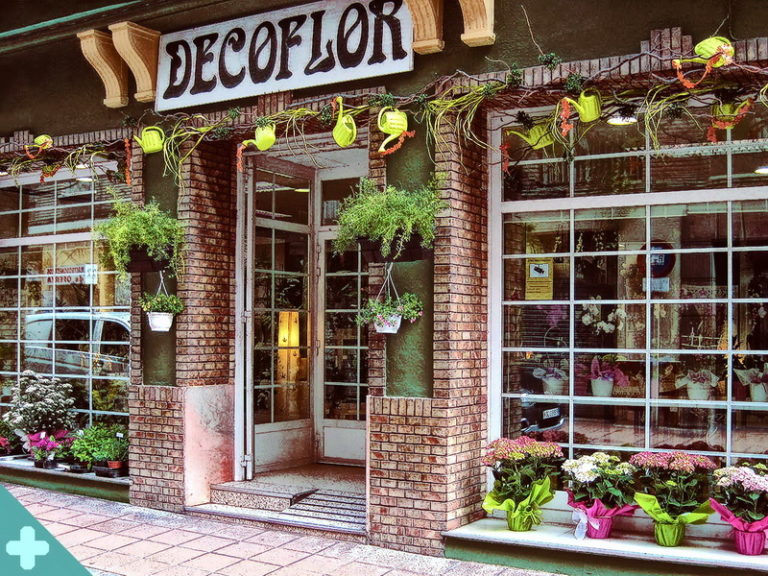 decoflor 768x576